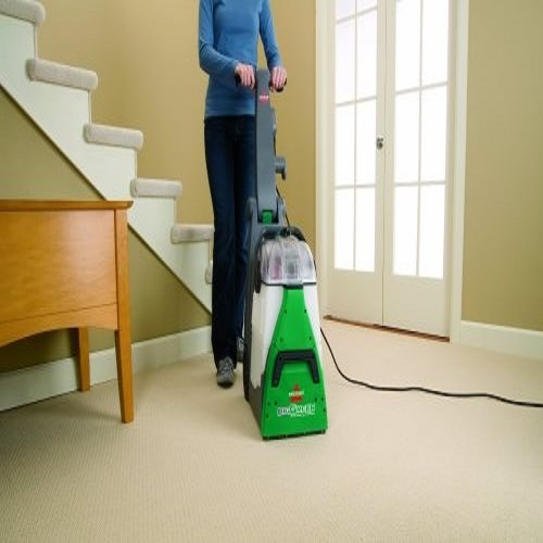 carpet machine cleaner pet urine vacuum